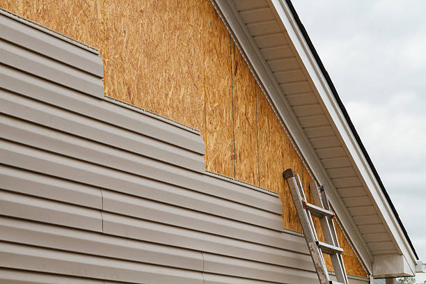 Best Vinyl Siding Installation  in Meeker, CO